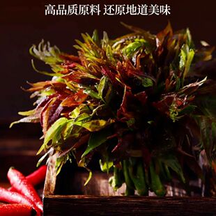 香椿芽嫩芽新鲜香春香椿芽新鲜整箱香椿头新鲜便宜当季 一整箱 包邮