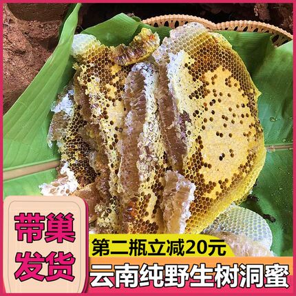 云南野生树洞蜂蜜老巢蜜嚼着吃纯正天然土蜂蜜孕妇儿童老人百花蜜