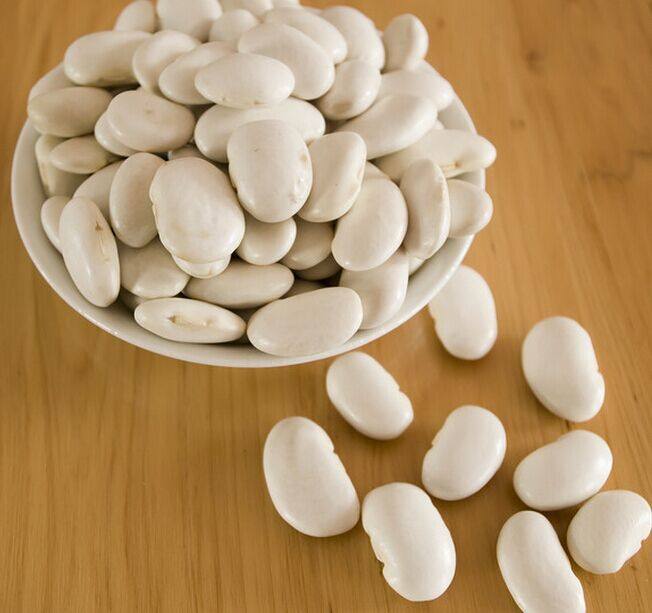 东北特产 白饭豆 饭豆子 煮粥豆 做豆馅豆沙用的豆子 大饭豆芸豆