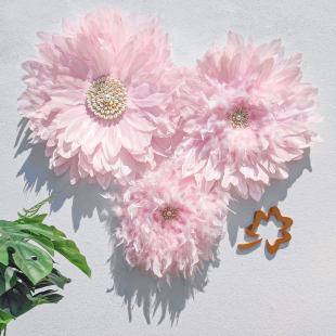 ins轻奢羽毛墙面装 饰客厅花朵挂件卧室房间床头墙上挂饰字母网红