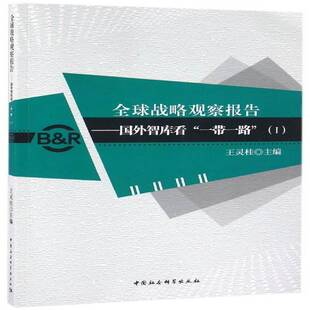 王灵桂中国社会科学出版 RT正版 Ⅰ9787516184622 国外智库看 社政治书籍 全球战略观察报告