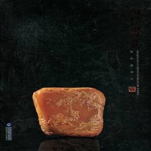 郑世斌福建社艺术书籍 郑世斌刻石9787539325484 RT正版 石情画意