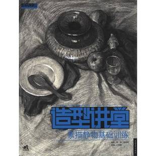 王海强中国青年出版 素描静物基础训练9787515302966 社艺术书籍 造型讲堂 RT正版