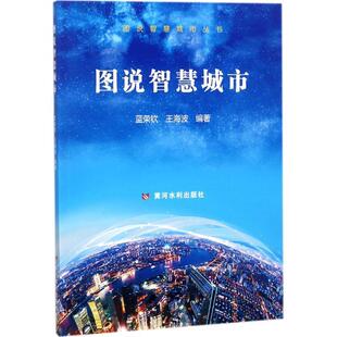 蓝荣钦黄河水利出版 图说智慧城市9787550920460 社励志与成功书籍 RT正版