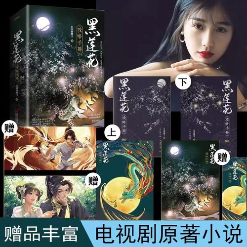 黑莲花攻略手册正版全套2册