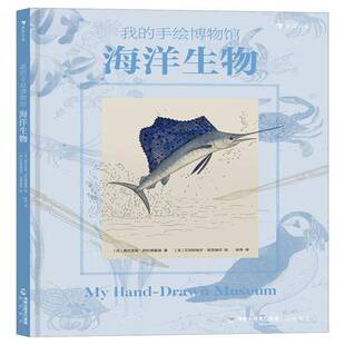 RT正常发货 我的手绘博物馆:海洋生物9787556708710 维尔吉妮·阿拉德基迪海峡书局辞典与工具书书籍