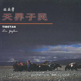 RT正版 天界子民9787536220607 林晶华岭南社艺术书籍