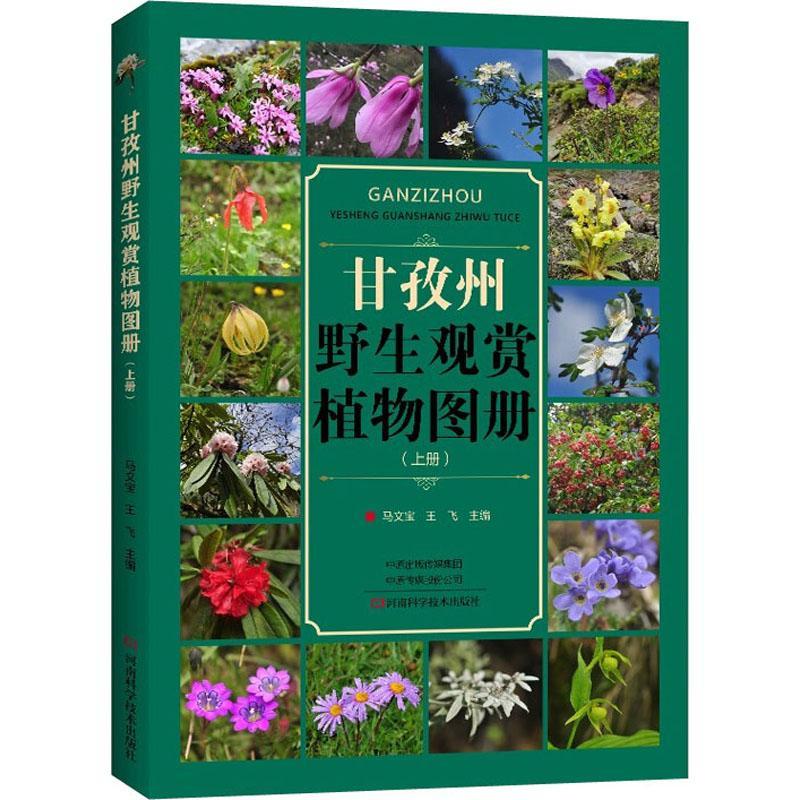 RT正版 甘孜州野生观赏植物图册:上册9787572503931 马文宝河南科学技术出版社自然科学书籍