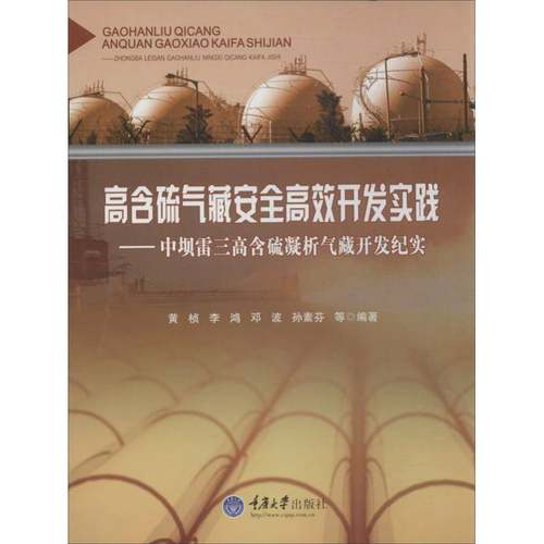 RT正版 高含硫气藏开发实践:中坝雷三高含硫凝析气藏开发纪实9787562478508 黄桢等重庆大学出版社自然科学书籍