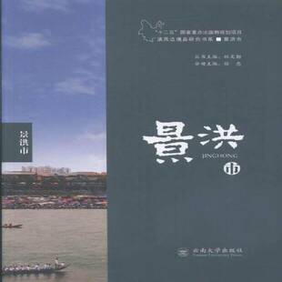 RT正版 景洪市9787548221845 徐忠云南大学出版社旅游地图书籍