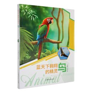 蓝天下翱翔 汕头大学出版 精灵·鸟 9787565808159 社自然科学书籍 四色 RT正版