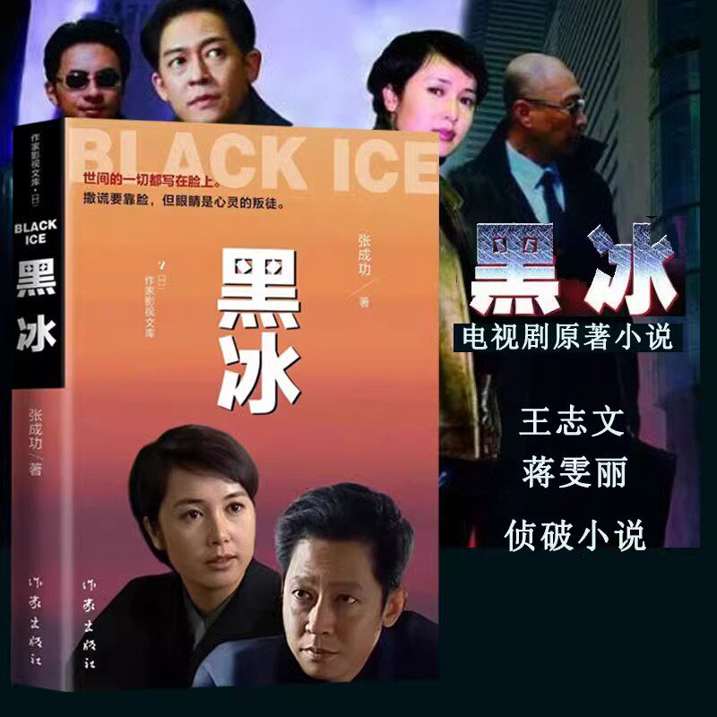 黑冰小说原著张成功著 王志文蒋雯丽主演电视剧原著小说 侦探破案书籍
