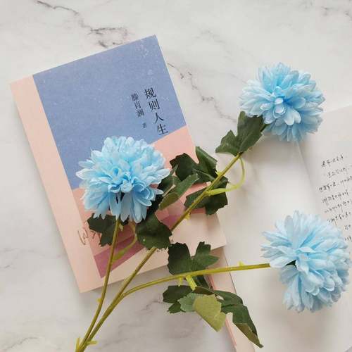 RT正版 规则人生9787554571859 滕肖澜河北教育出版社小说书籍