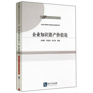 RT正版 企业知识资产价值论9787513029476 汤湘希知识产权出版社法律书籍