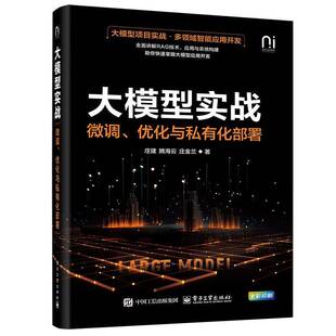 庄建等电子工业出版 RT正版 优化与私有化部署9787121493232 微调 社计算机与网络书籍 大模型实战