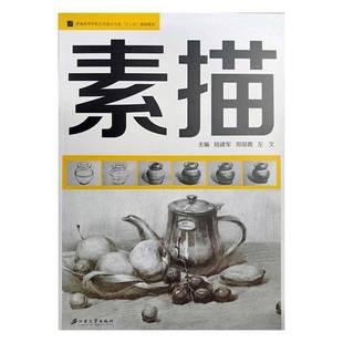 社艺术书籍 陆建军江苏大学出版 RT正版 素描9787568411134