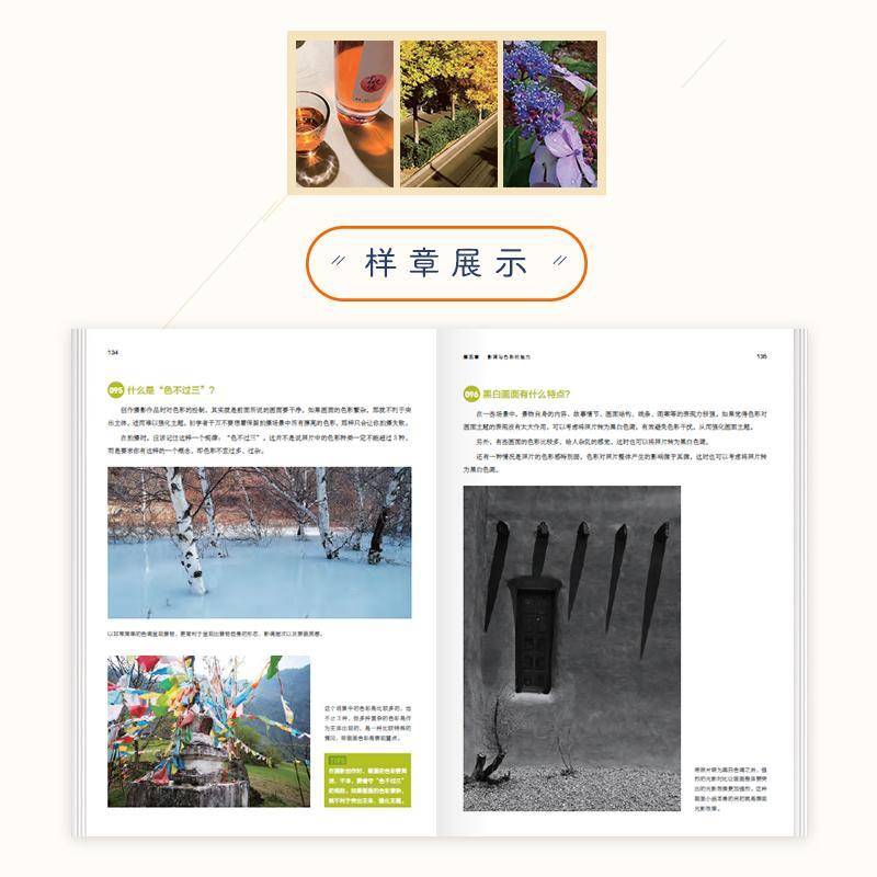 RT现货速发 专业摄影师这样拍:拍摄与后期版:手机摄影的180个问9787115558718 视觉中国摄影社区爱摄会部落人民邮电出版社艺术书籍图片