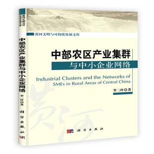 RT正常发货 中部农区产业集群与中小企业网络9787030302311 李二玲科学出版社经济书籍