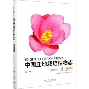 RT正版 中国迁地栽培植物志:山茶科:Theaceae9787521909241 黄宏文中国林业出版社自然科学书籍