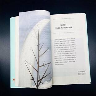 RT正版 美洲现代艺术之路:1910-1960年西半球艺术9787514619744 爱德华·沙利文中国画报出版社艺术书籍