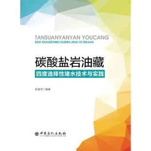 RT现货速发 碳酸盐岩油藏四度选择性堵水技术与实践9787511460295 赵海洋中国石化出版社工业技术书籍