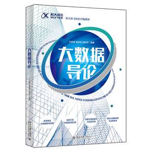 社工业技术书籍 于俊伟北京大学出版 RT正版 大数据导论9787301333341