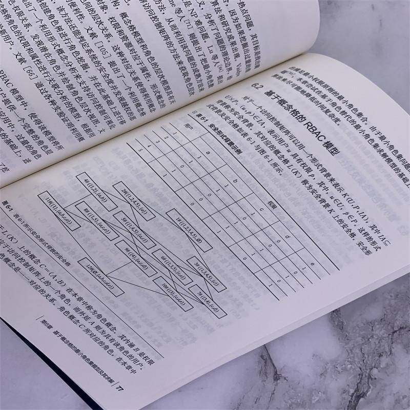 RT正版 自动化访问控制技术9787122394613 张磊化学工业出版社计算机与网络书籍