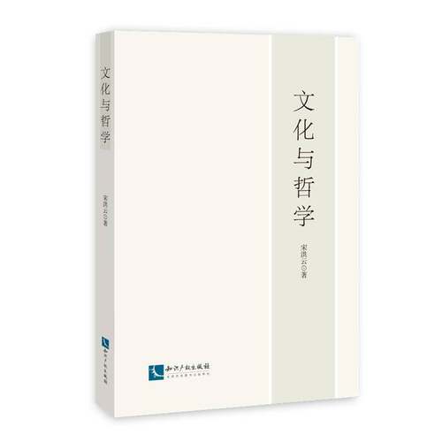 RT现货速发 文化与哲学9787513032773 宋洪云知识产权出版社文化书籍