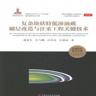 RT现货速发 复杂块状特低渗油藏储层改造与注采工程关键技术9787563649686 蒲春生中国石油大学出版社小说书籍
