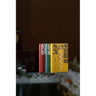 孙颙上海文艺出版 头发9787532183487 社小说书籍 爱因 RT正版