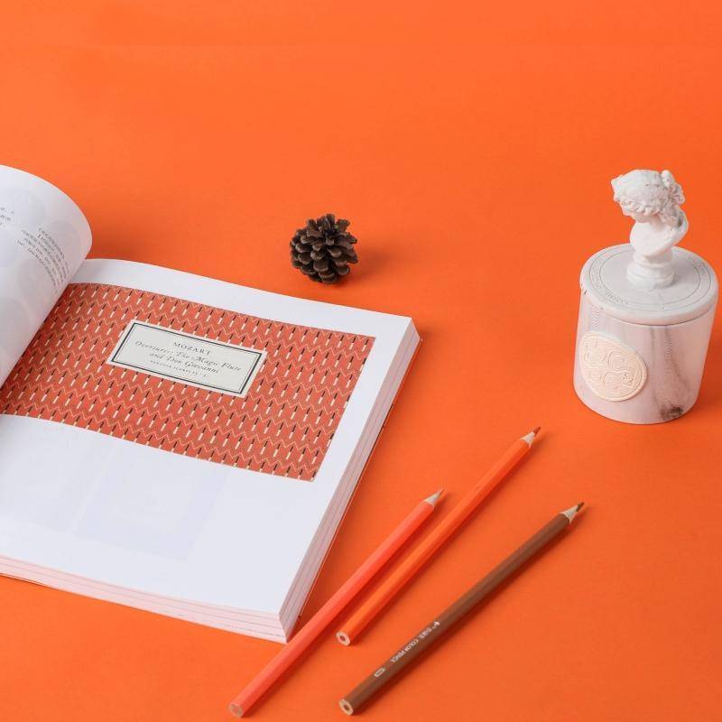 RT正版 从设计看企鹅:企鹅七十年封面艺术史9787521738575 菲尔·巴恩斯中信出版集团股份工业技术书籍