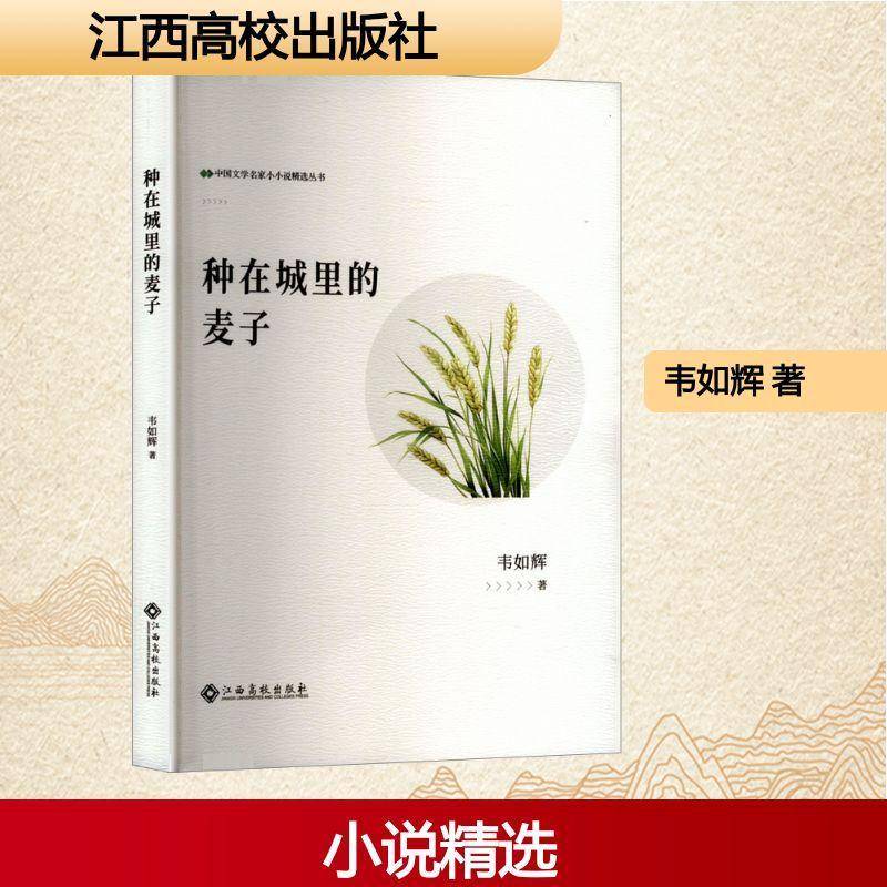 RT现货速发 种在城里的麦子9787576256017 韦如辉江西高校出版社小说书籍图片