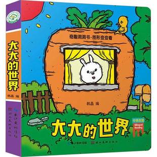 韩晶湖北社儿童读物书籍 世界9787539495767 RT正版 奇趣洞洞书