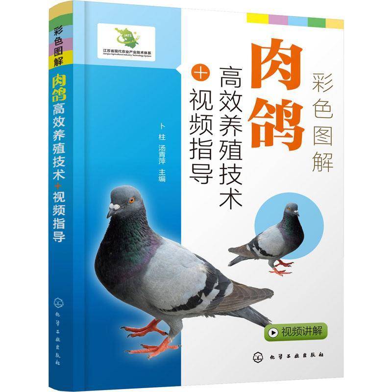 RT正版 彩色图解肉鸽养殖技术+指导9787122403926 卜柱化学工业出版社农业、林业书籍