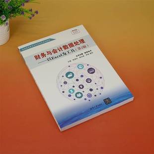 RT正版 财务与会据处理:以Excel为工具9787302658085 陈潇怡清华大学出版社经济书籍