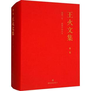 RT正版 王火文集:卷:霹雳三年 浓雾中的火光9787541146244 龚延明四川文艺出版社文学书籍