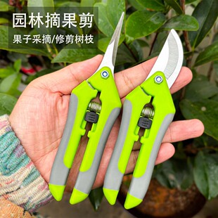 园艺剪刀修枝剪剪果蔬果剪树枝果树剪葡萄摘果剪园林工具摘果