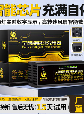 聚能鹰电动车快充数显充电器