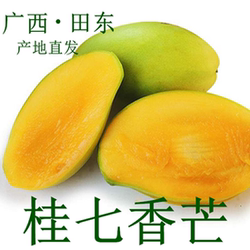 广西田东桂七香芒百色芒果新鲜水果大青芒果新鲜包邮