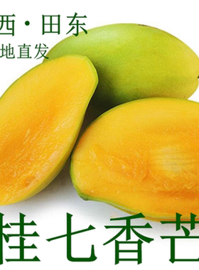 广西田东桂七芒果现摘现发
