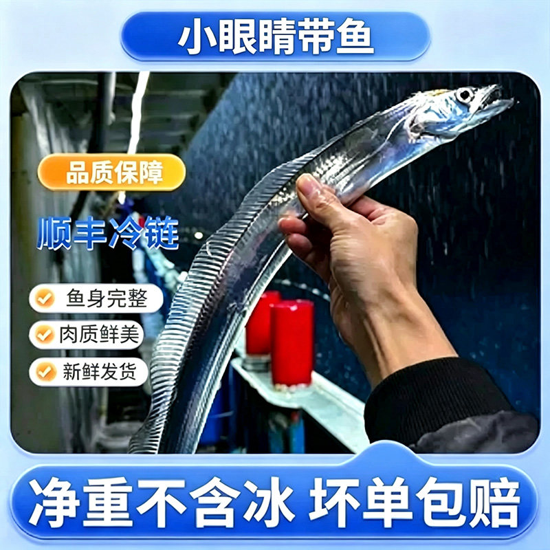 （3-5两/条）舟山海鲜海钓带鱼东海小眼睛现钓带鱼