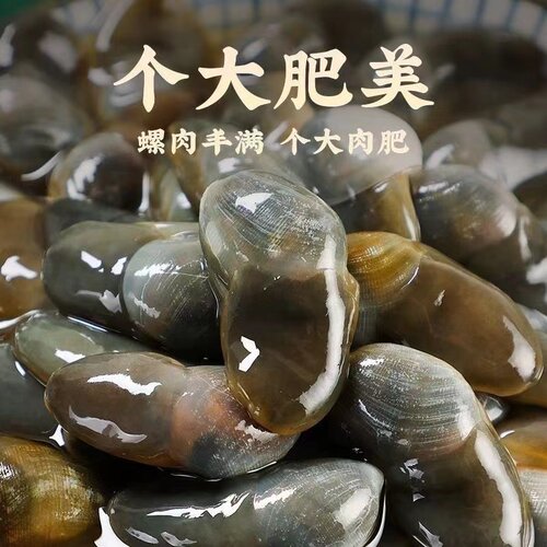 泥螺即食罐装250g/瓶舟山特产
