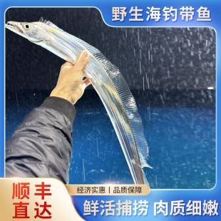 到手3.5斤 3斤5条 每条5 7两 宁波舟山东海海钓带鱼新鲜小眼睛
