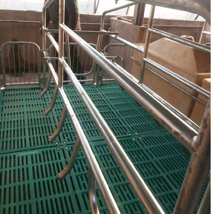 单体母猪产床 产保一体母猪产床 养猪设备