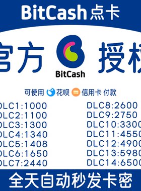 日本BitCash 特殊面额游戏充值卡点卡1000 1340可入库卡密 自动发