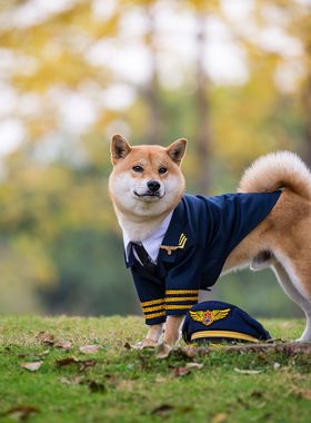 独家宠物狗狗纯手工可定制柴犬宠物结婚礼服西装飞机师飞行装两件