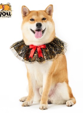 宠物狗狗猫咪柴犬万圣节恶搞搞怪领巾口水巾围脖围巾