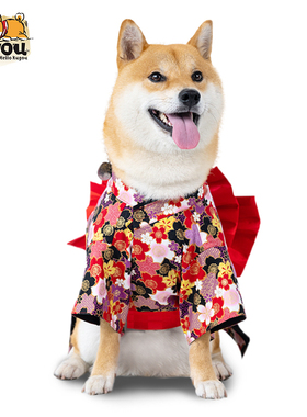 宠物狗猫手工定制日本进口日式柴犬柯基樱花拍摄写真出游春游和服