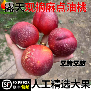 安徽砀山头茬麻点黄心油桃现摘现发5斤当季新鲜水果箱装包邮