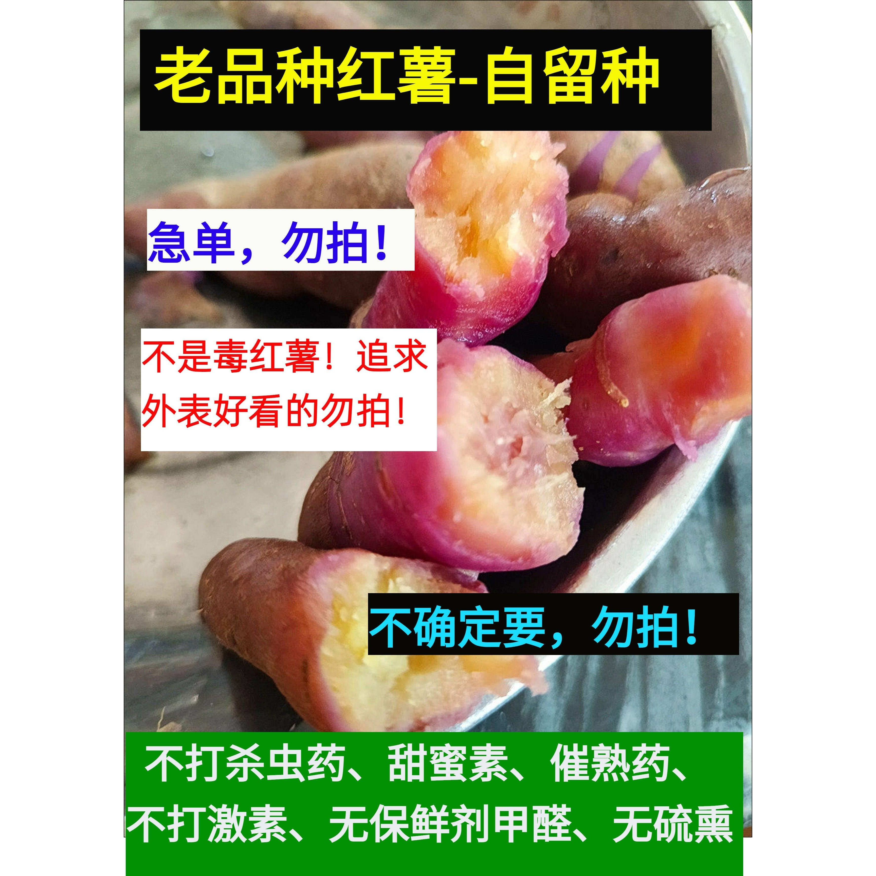 无激素杀虫药老品种红薯冰淇淋番薯一点红紫薯地瓜蔬菜土特产素食